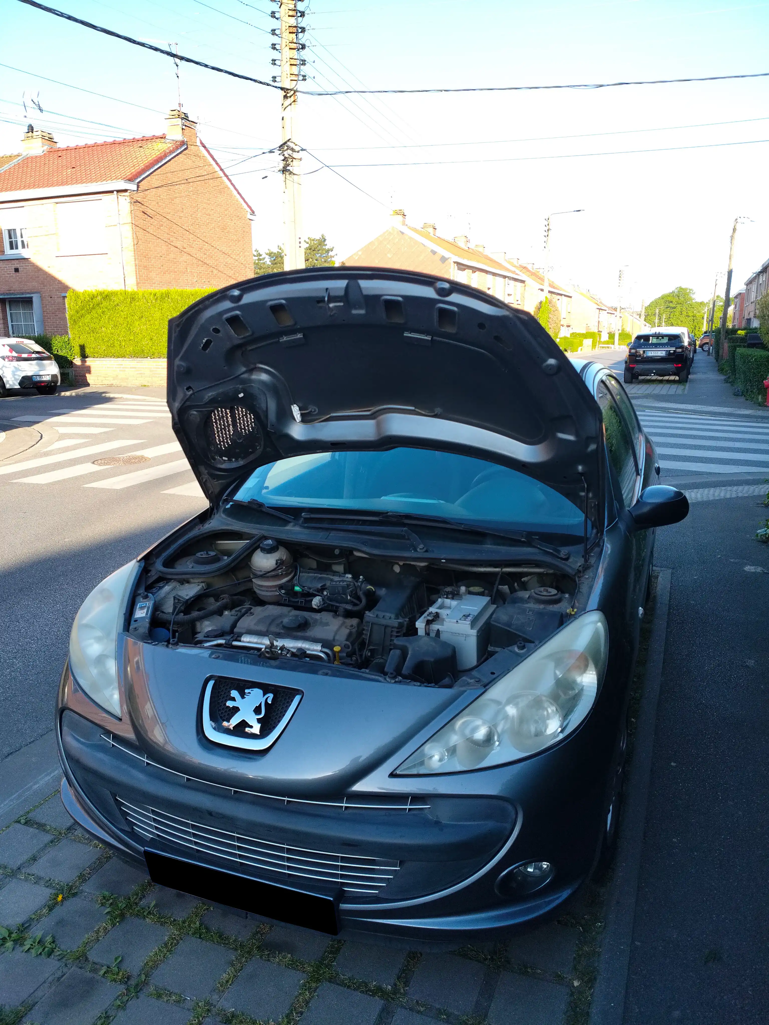 Peugeot 206+ Phase 1